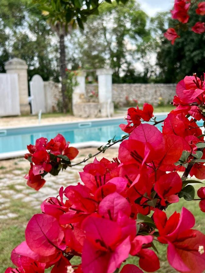 Villa Encantamiento - Dimora Gelsomino - Masseria Storica Nel Cuore Della Puglia Con Piscina Latiano Екстер'єр фото
